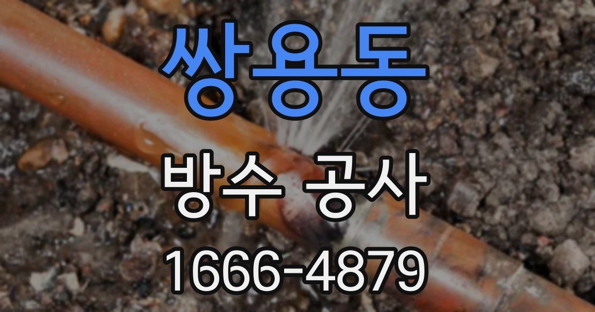 쌍용동 방수 공사