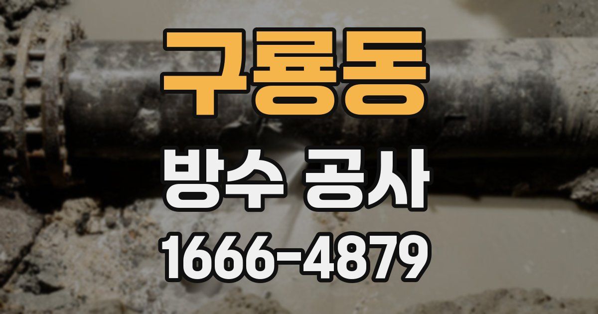 구룡동 방수 공사