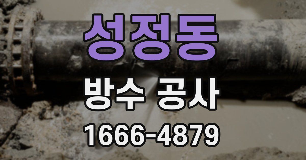 성정동 방수 공사