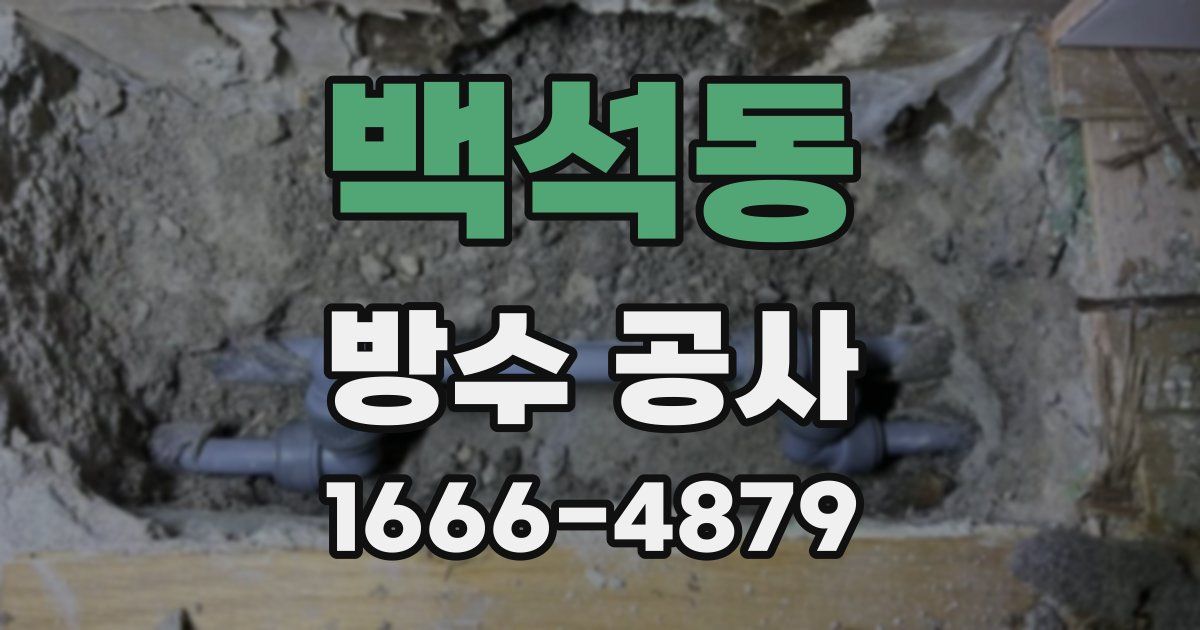백석동 방수 공사