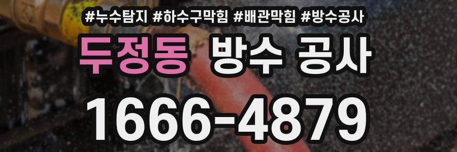 두정동 방수 공사