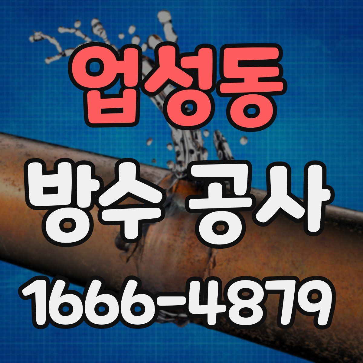 업성동 방수 공사