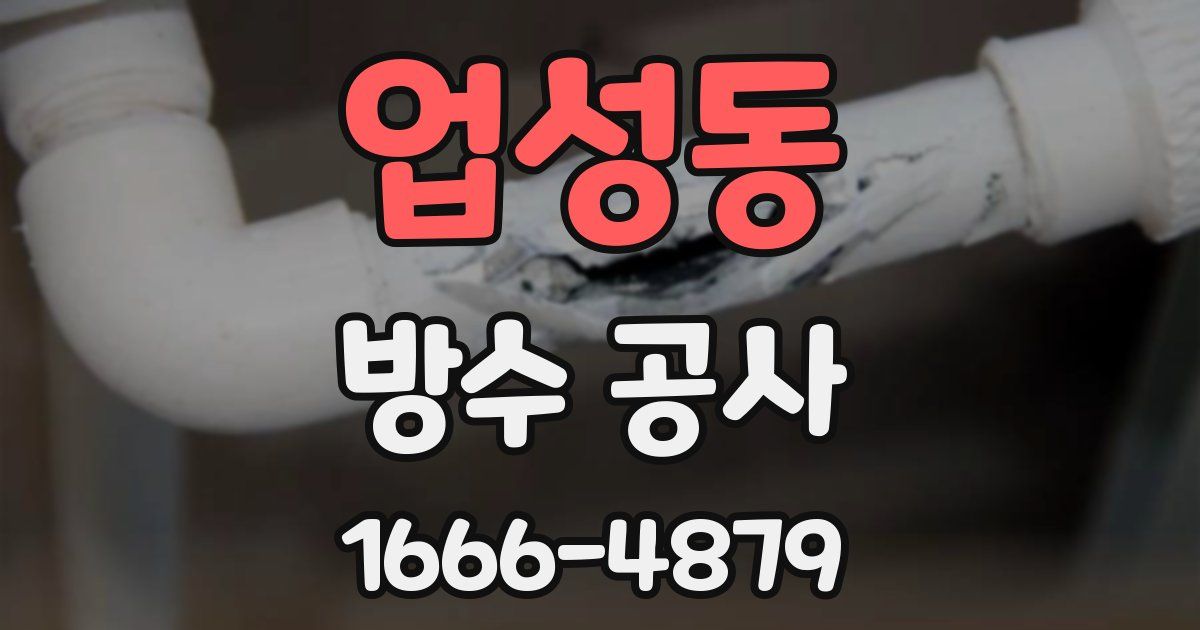 업성동 방수 공사