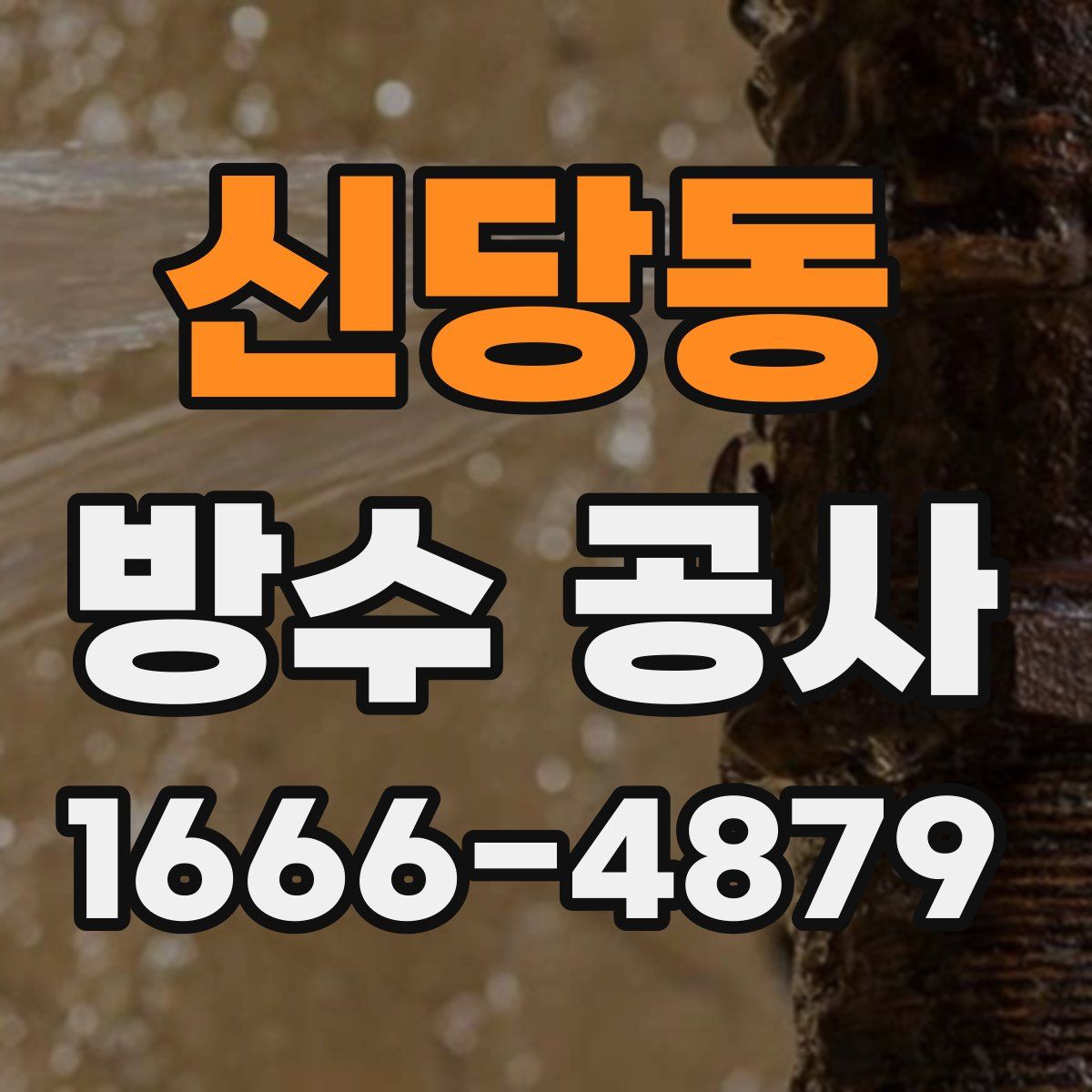 신당동 방수 공사