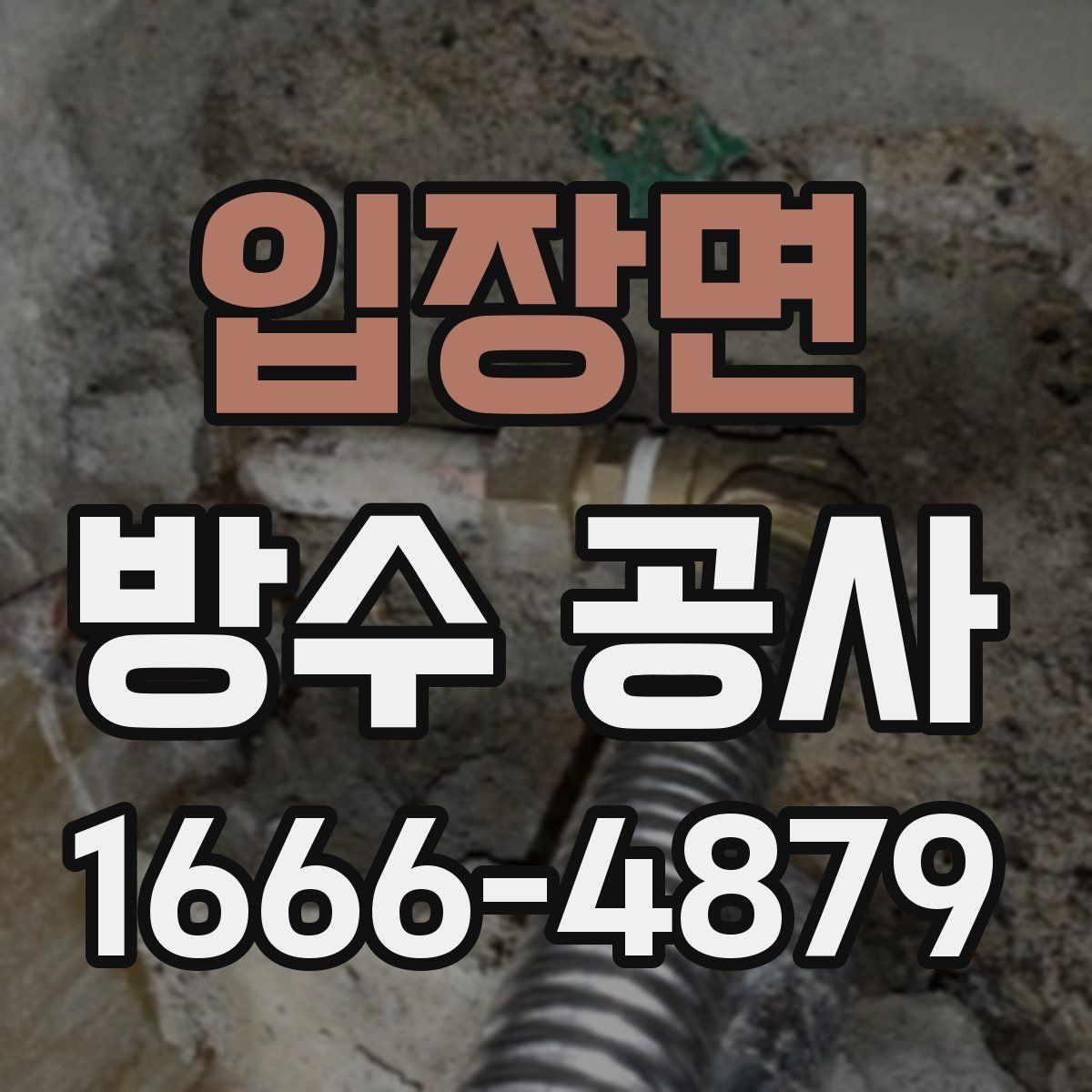 입장면 방수 공사