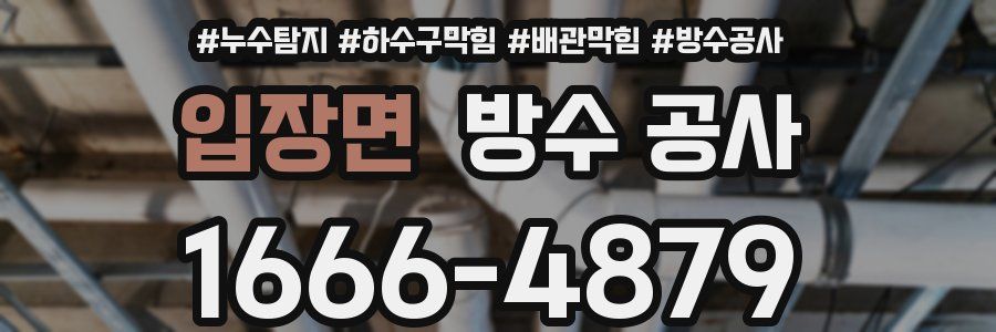 입장면 방수 공사