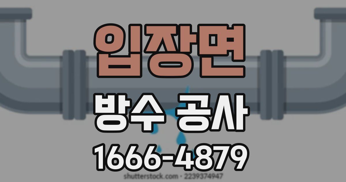 입장면 방수 공사