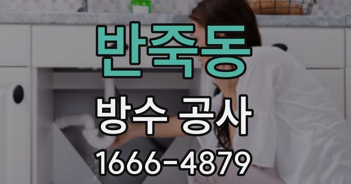 반죽동 방수 공사