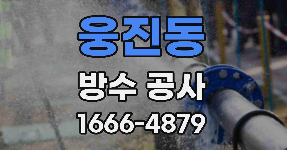 웅진동 방수 공사
