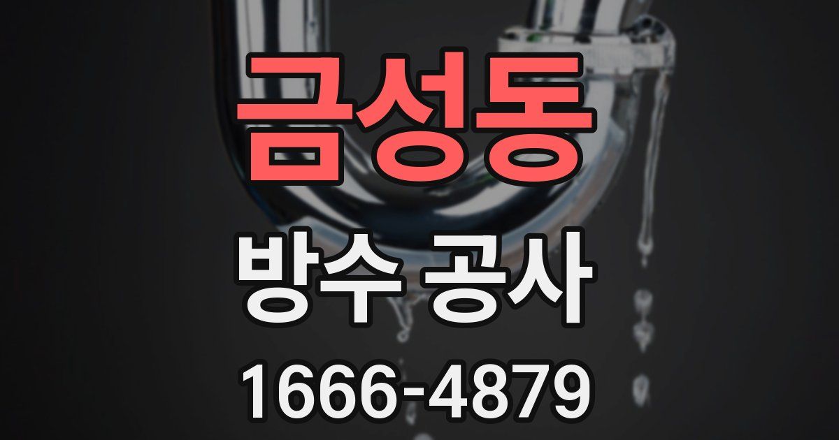 금성동 방수 공사