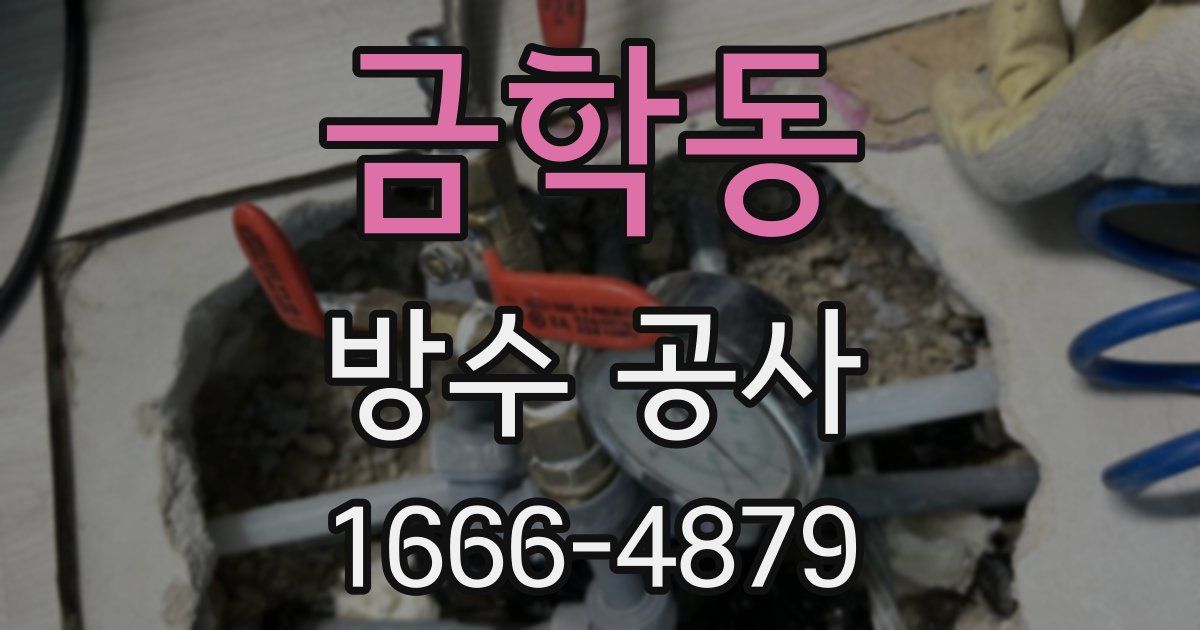 금학동 방수 공사