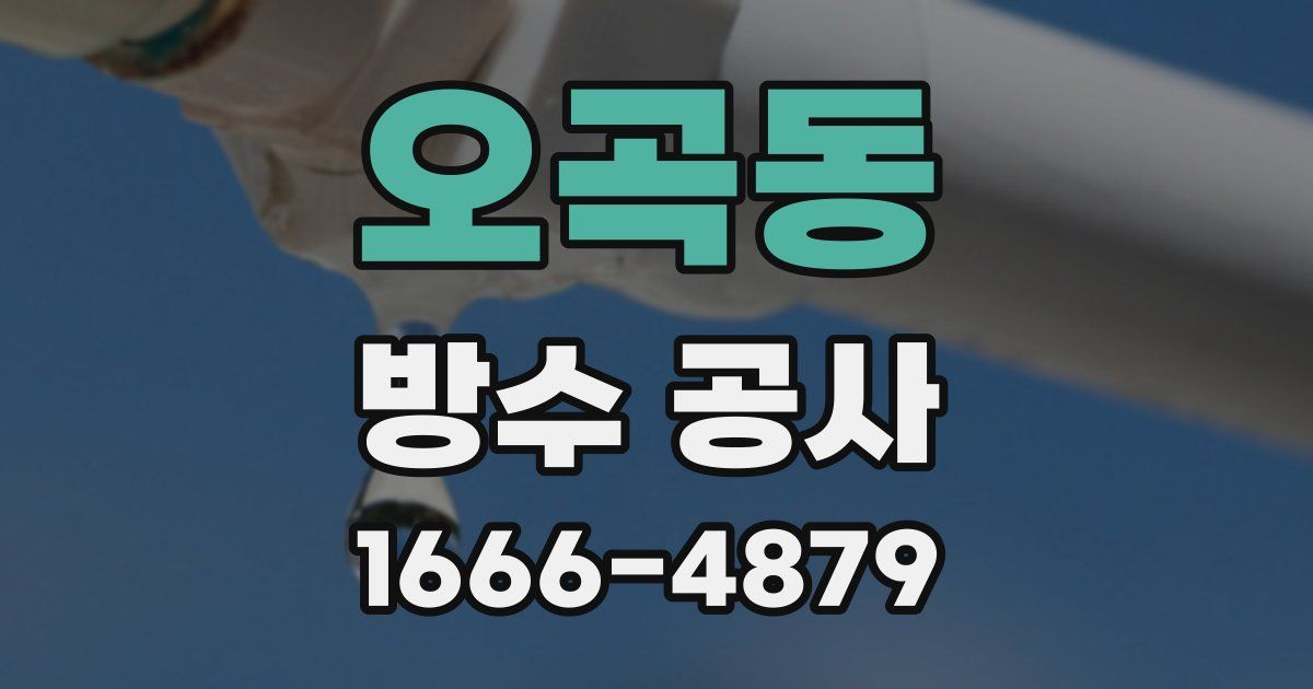오곡동 방수 공사