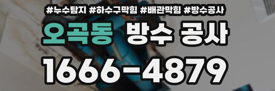 오곡동 방수 공사