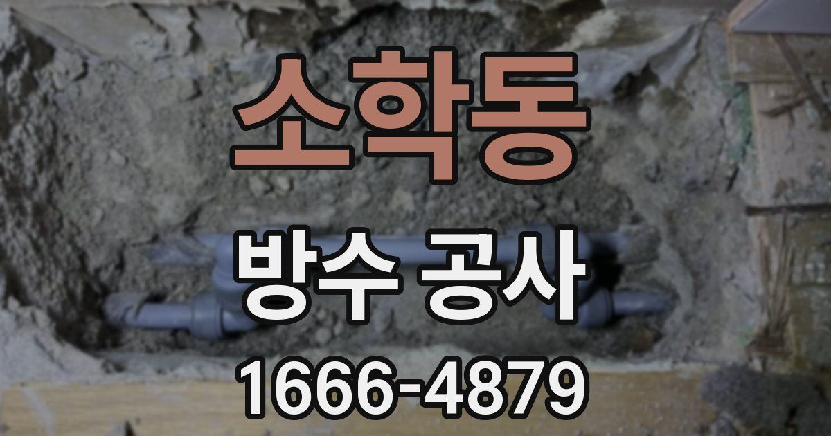 소학동 방수 공사