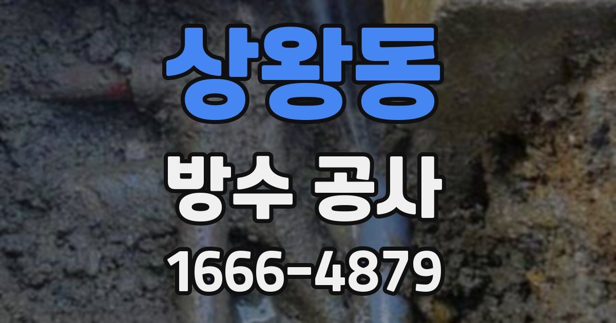 상왕동 방수 공사