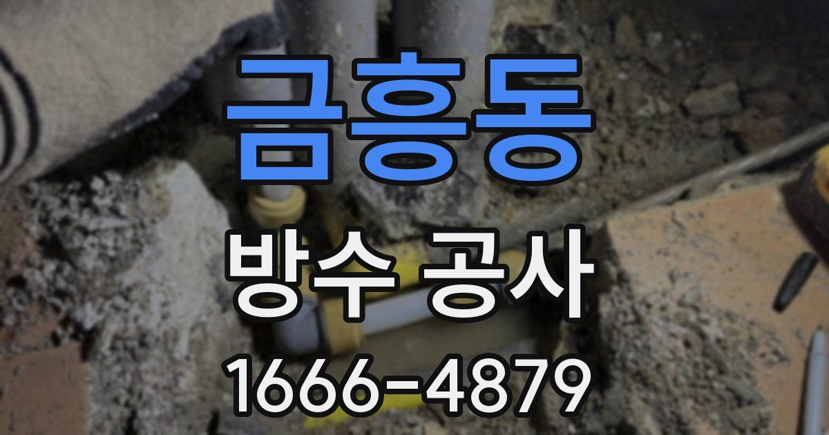 금흥동 방수 공사