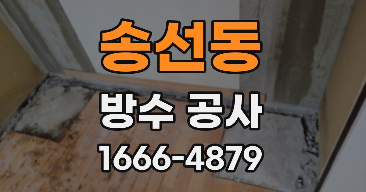 송선동 방수 공사