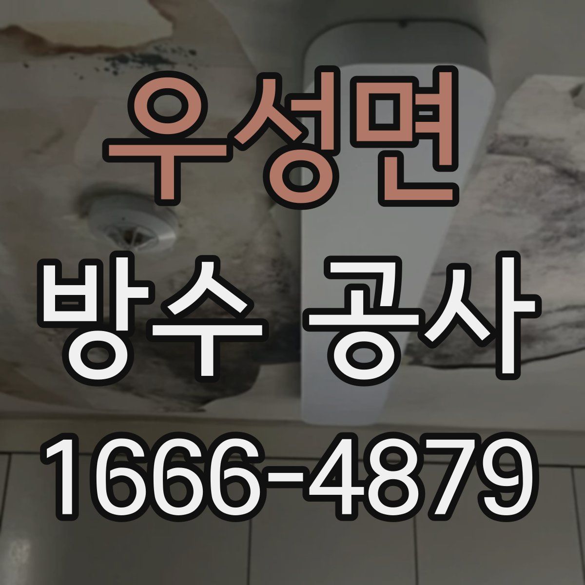 우성면 방수 공사