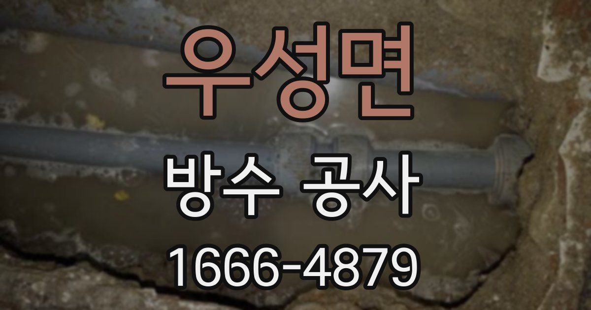 우성면 방수 공사
