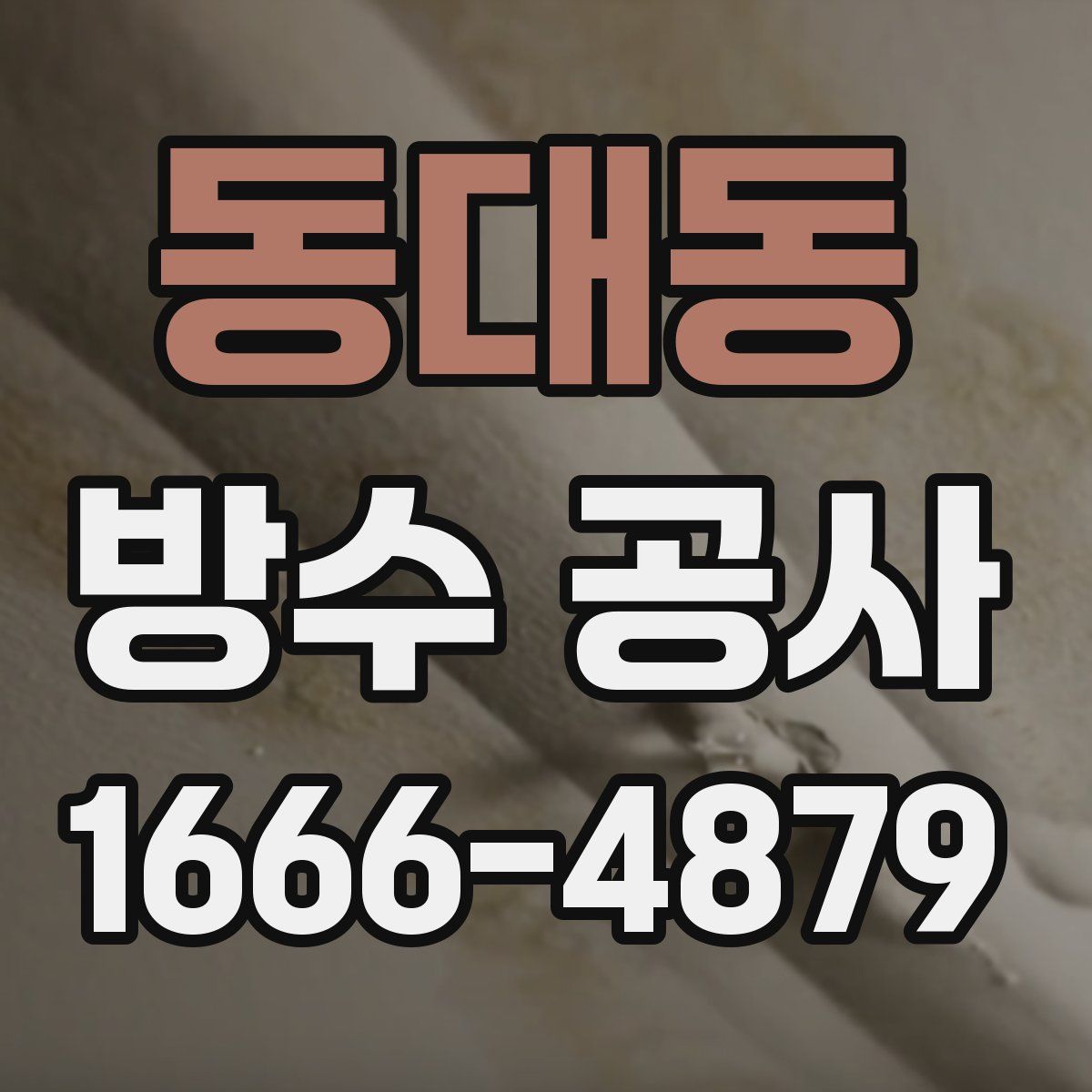동대동 방수 공사