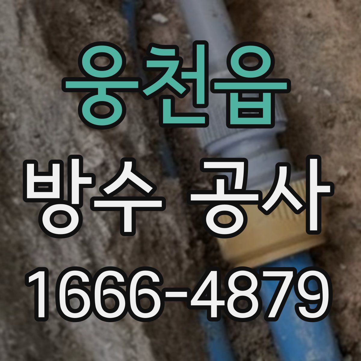 웅천읍 방수 공사