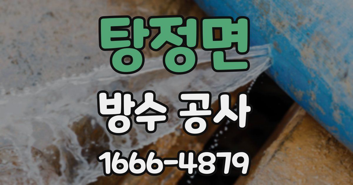 탕정면 방수 공사