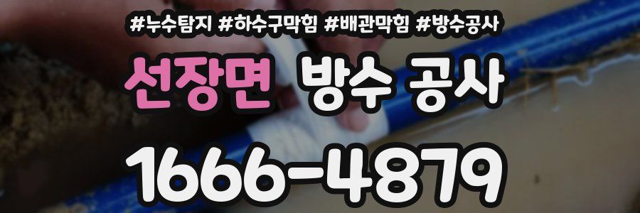 선장면 방수 공사