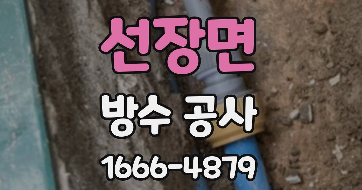 선장면 방수 공사