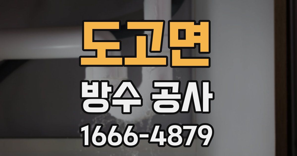 도고면 방수 공사