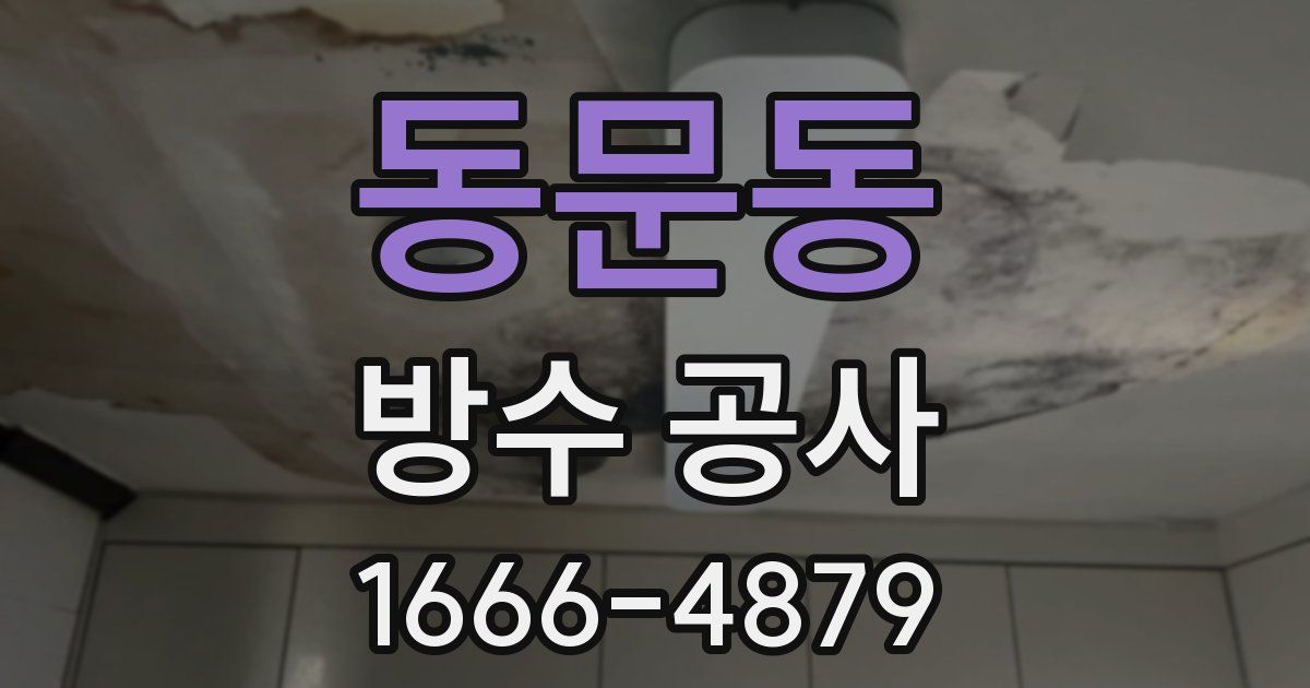 동문동 방수 공사