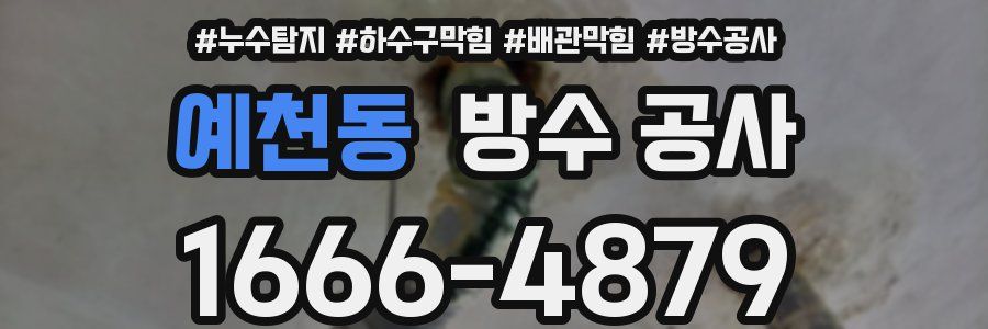 예천동 방수 공사