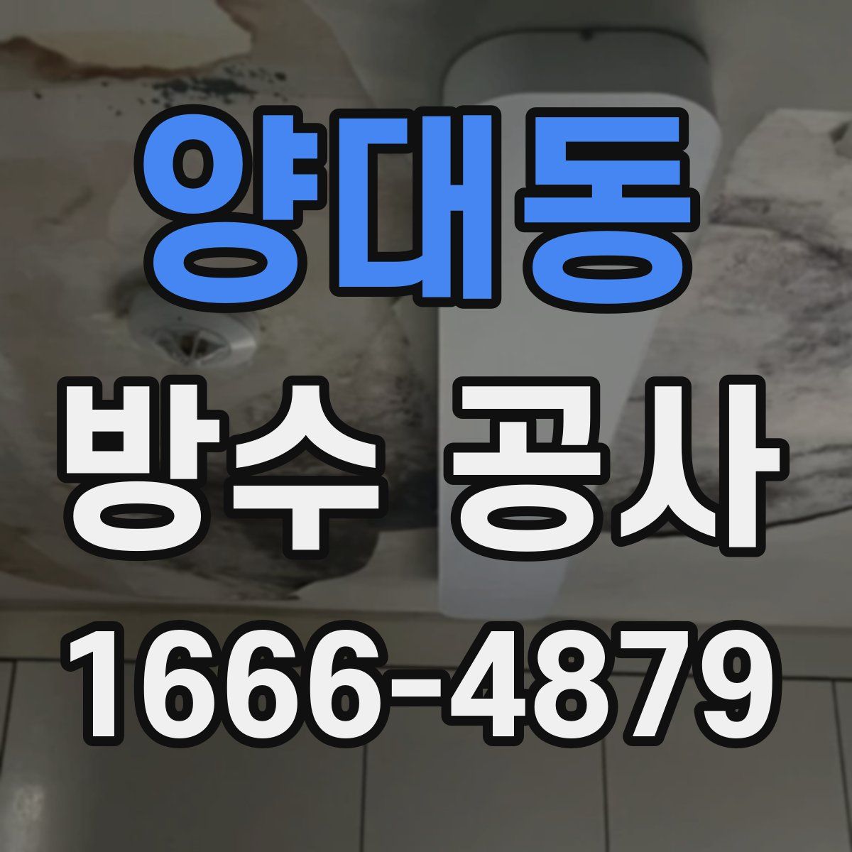 양대동 방수 공사