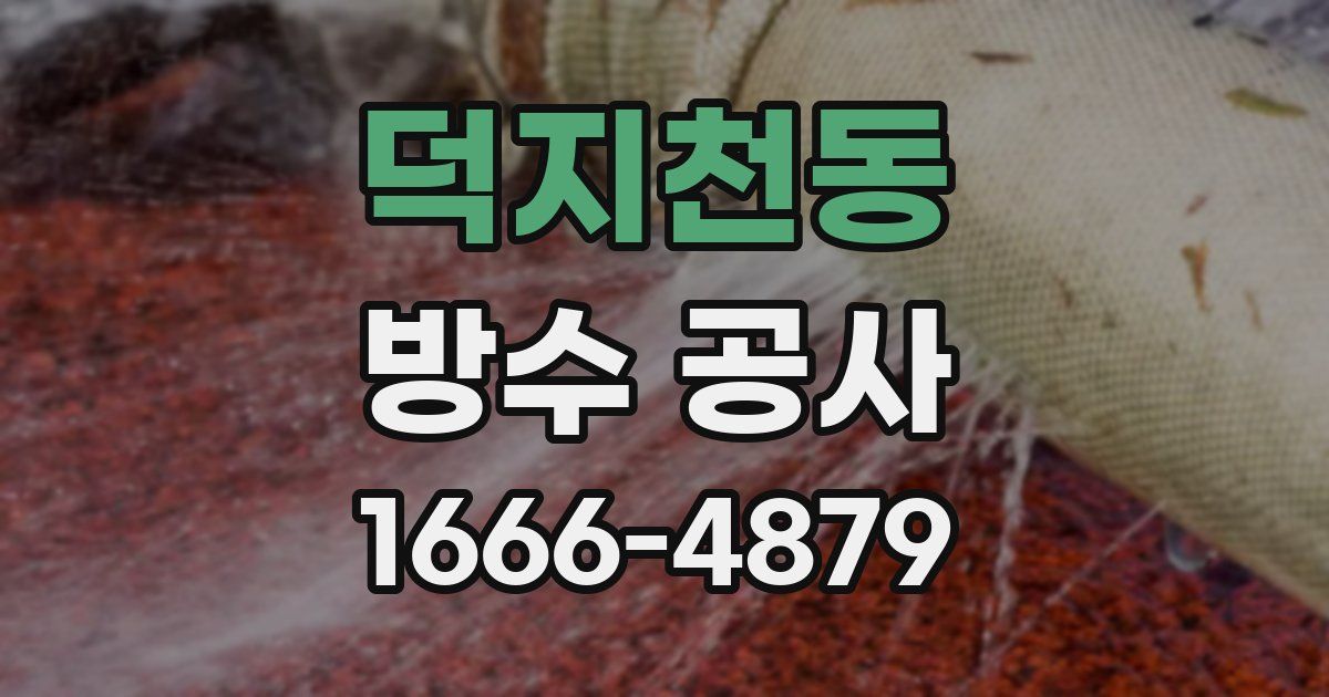 덕지천동 방수 공사