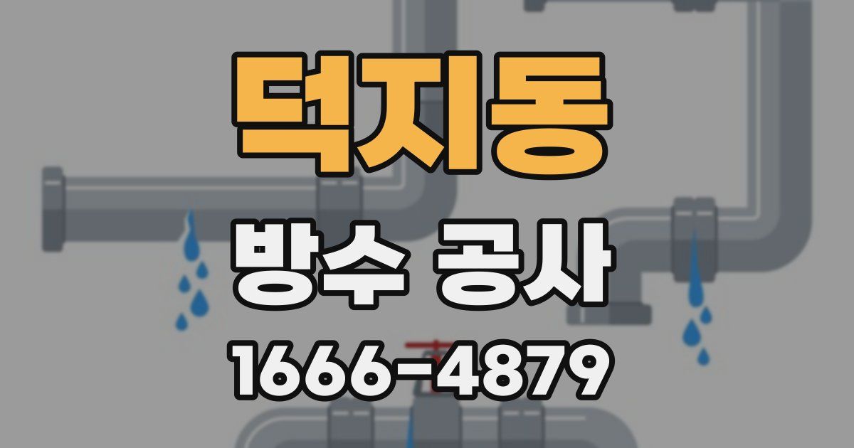 덕지동 방수 공사