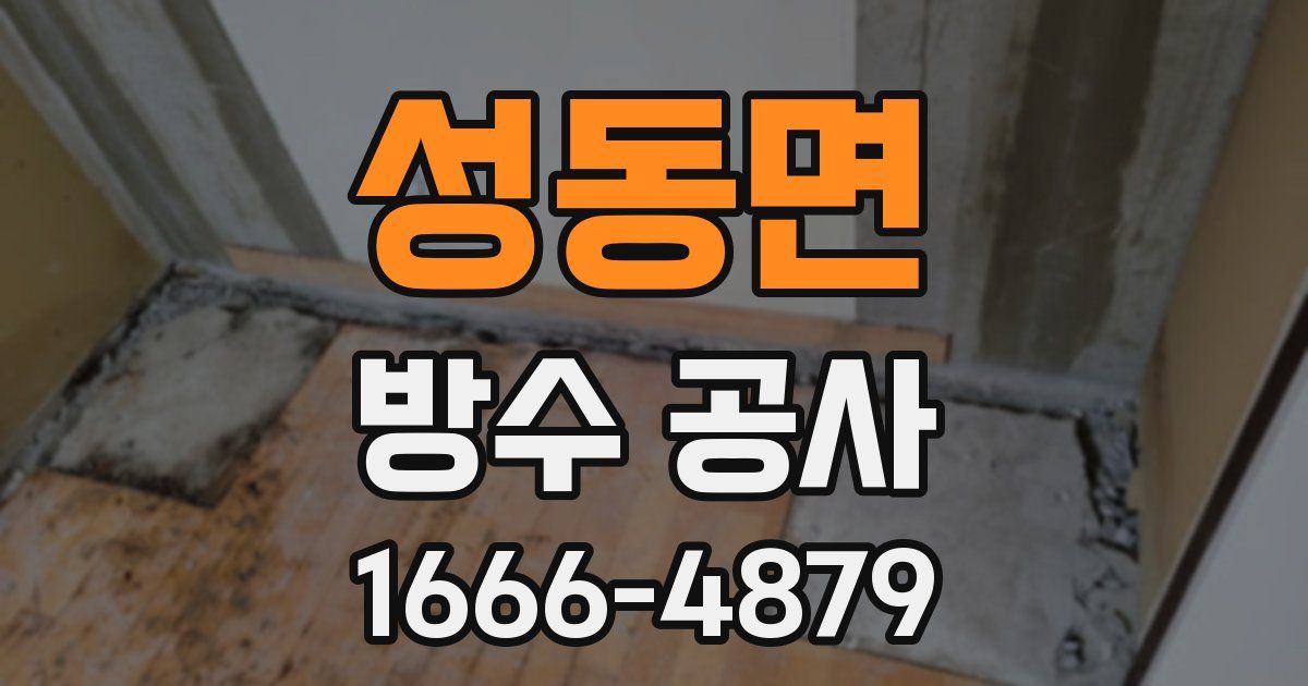 성동면 방수 공사