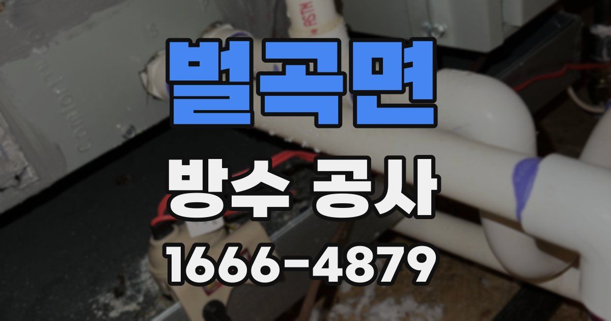 벌곡면 방수 공사