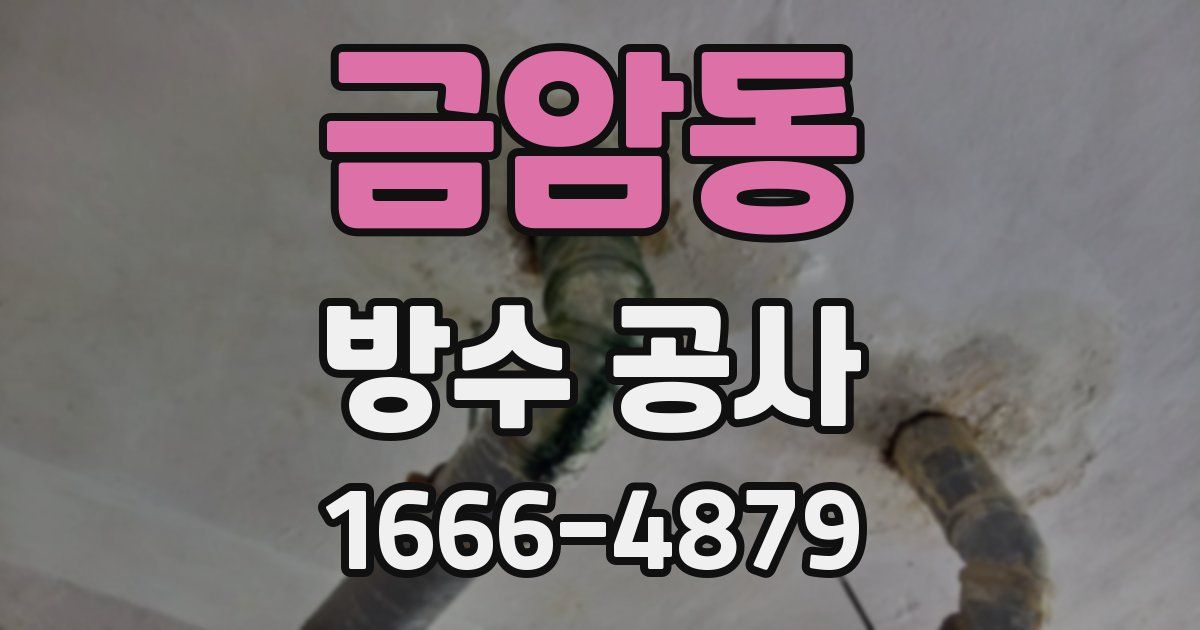 금암동 방수 공사