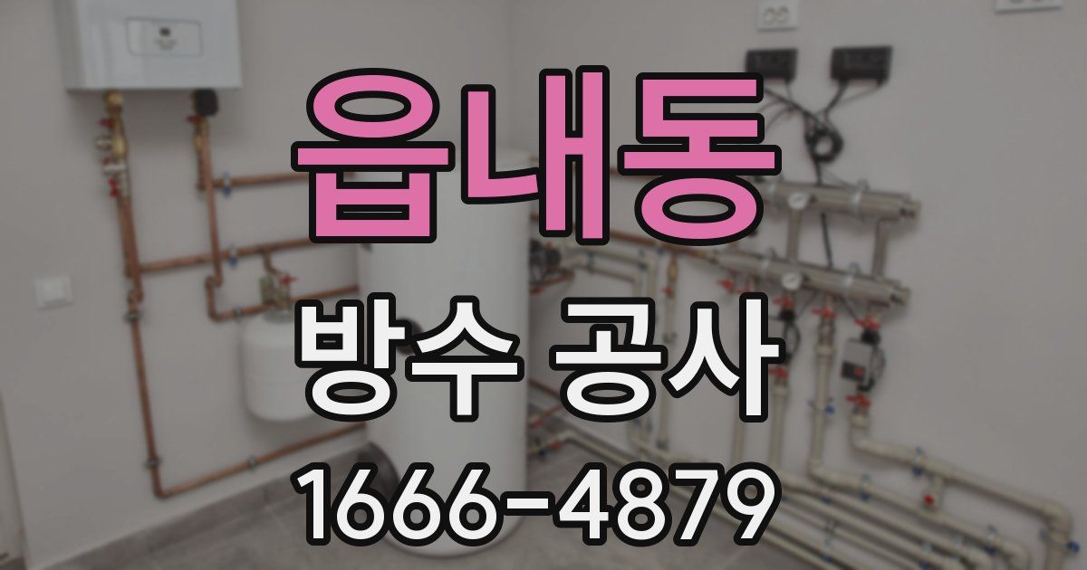 읍내동 방수 공사