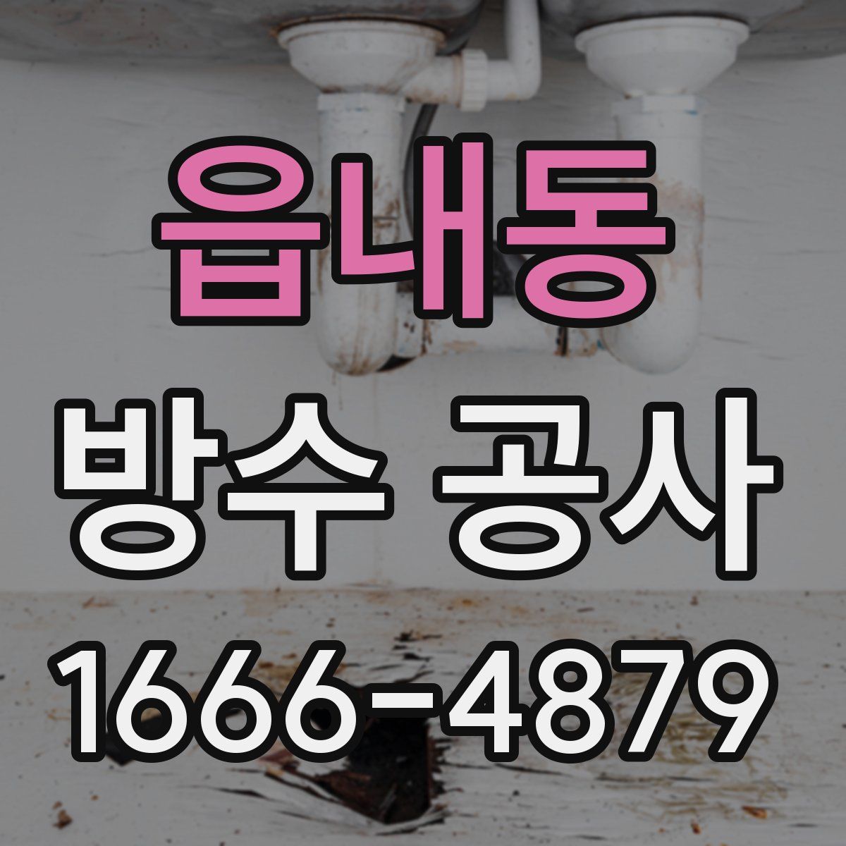 읍내동 방수 공사