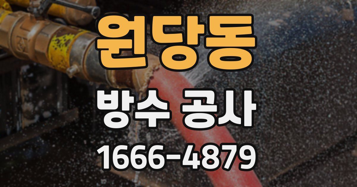 원당동 방수 공사
