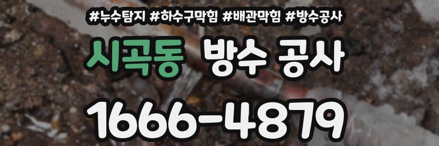 시곡동 방수 공사