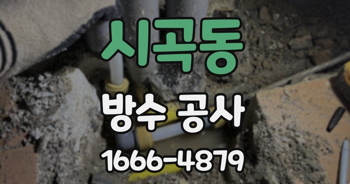시곡동 방수 공사