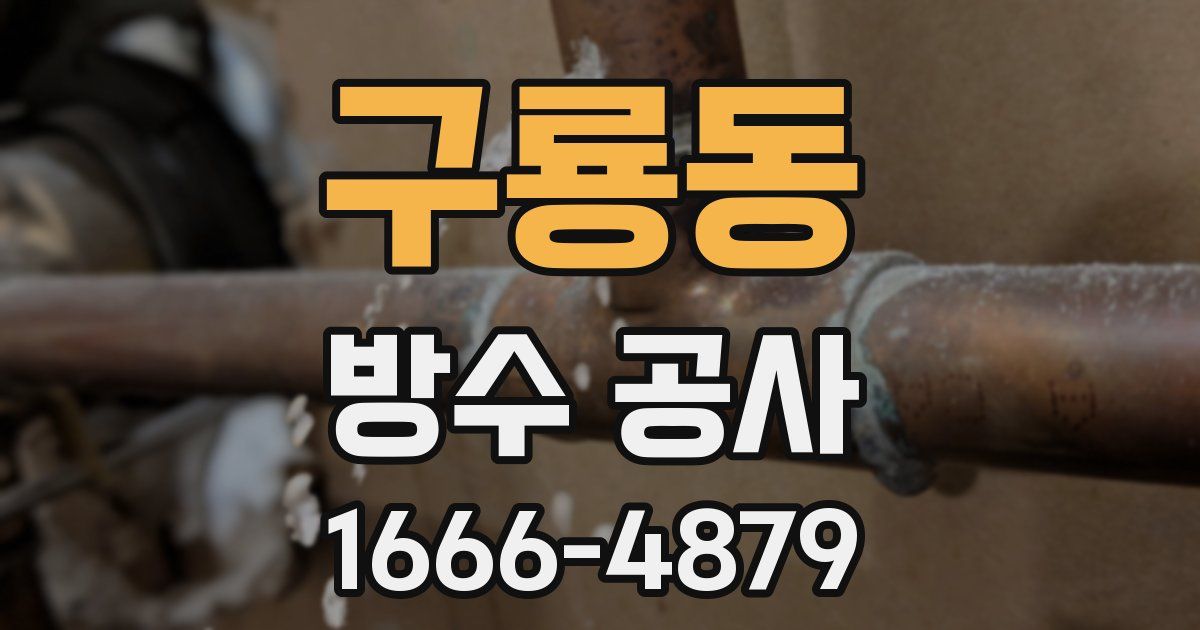 구룡동 방수 공사