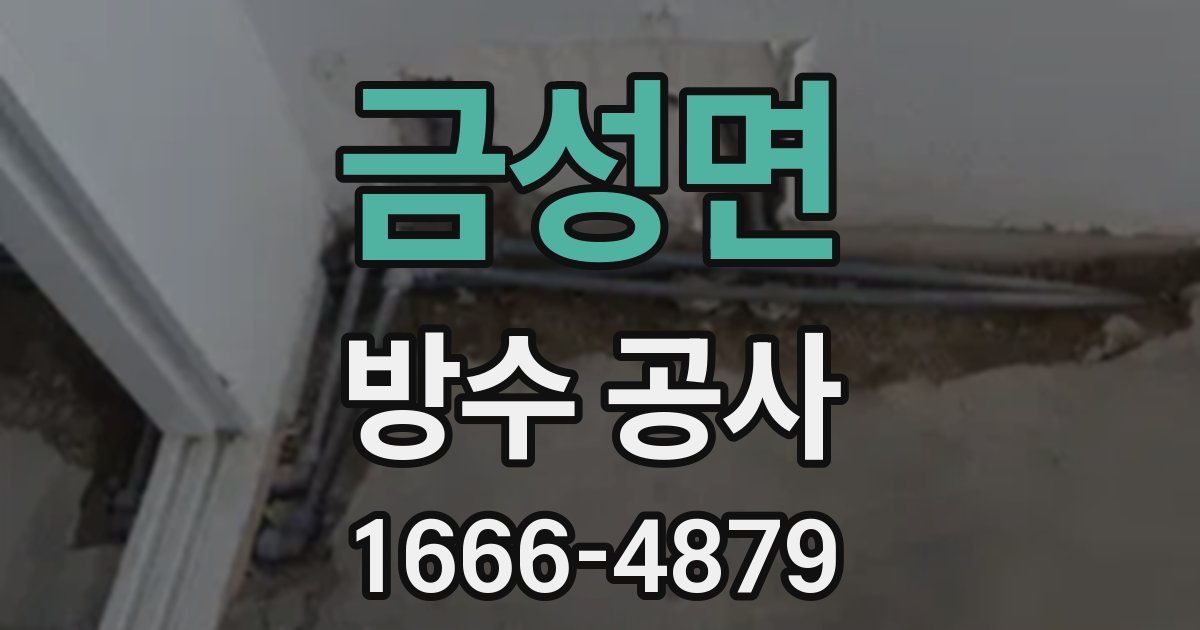 금성면 방수 공사