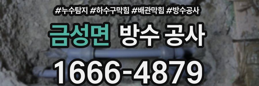 금성면 방수 공사