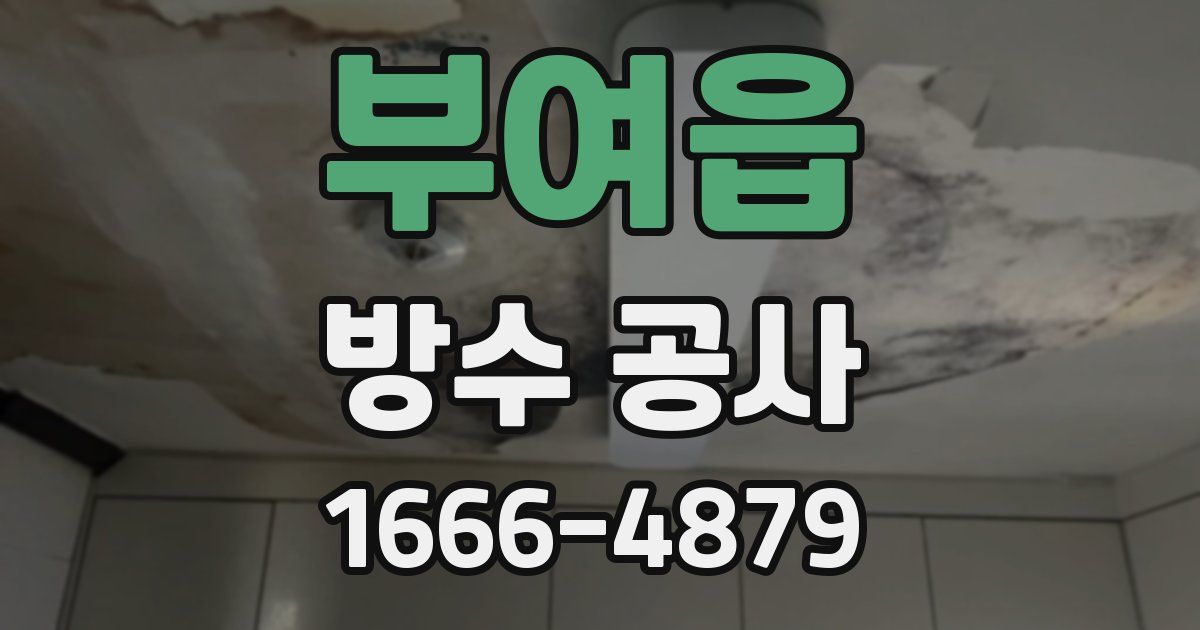 부여읍 방수 공사