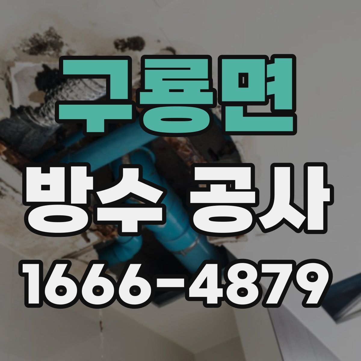 구룡면 방수 공사