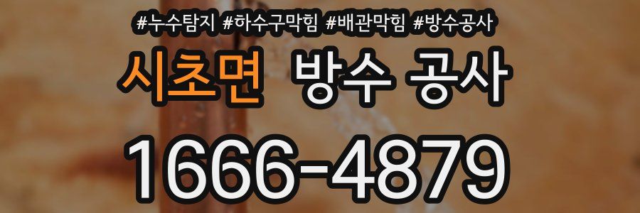시초면 방수 공사