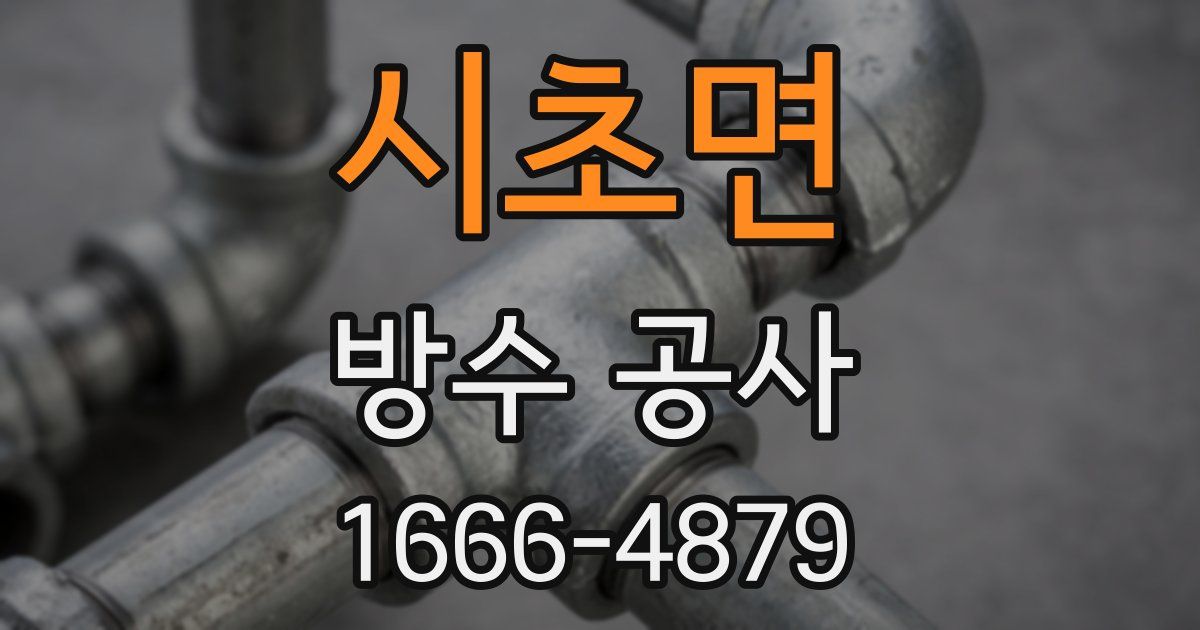 시초면 방수 공사