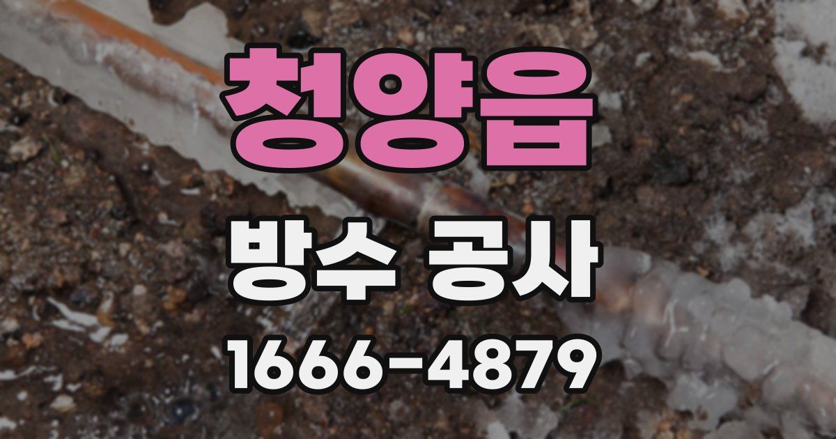 청양읍 방수 공사